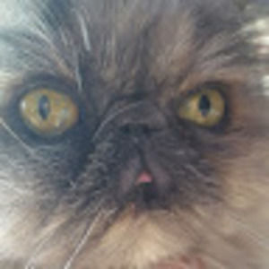 Meet your Posher, Velinda